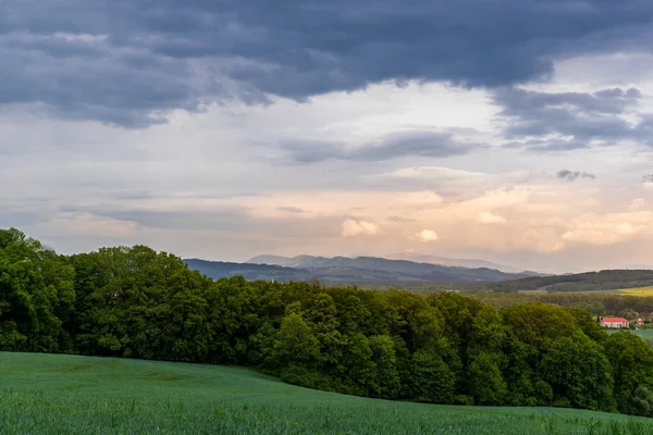 Campo Grano Una Vista Nuvole Scure Paesaggio Collinare Prima Del — Foto Stock