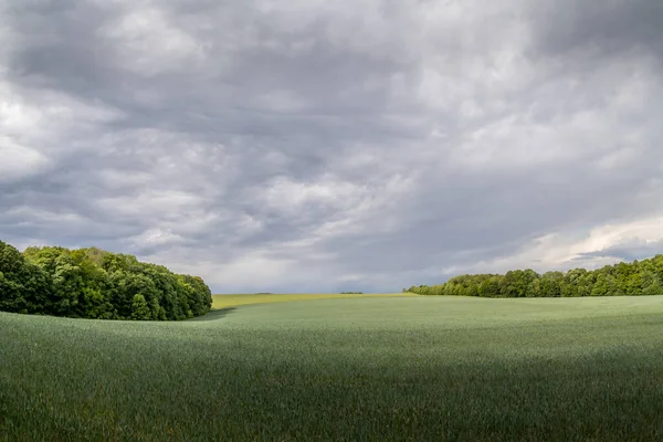 Field Wheat View Dark Clouds Hilly Landscape Sunset Distance You — Stock Photo, Image