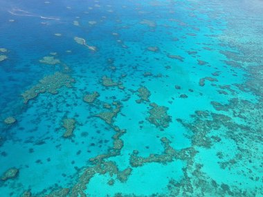 Avustralya Queensland 'daki Büyük Bariyer Mercan Resifi' ne helikopterden görüntü