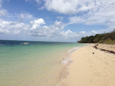 Green Island, Avustralya 'nın Büyük Set Resifi bölgesinde dalış yapmak için ünlü bir adadır.