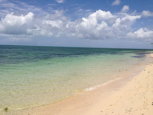 Green Island Avustralya Nın Büyük Set Resifi Bölgesinde Dalış Yapmak — Stok fotoğraf