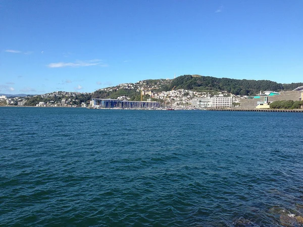 Coat Και Λιμάνι Τοπίο Στην Πόλη Wellington — Φωτογραφία Αρχείου