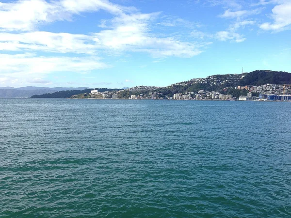 Manteau Paysage Portuaire Dans Ville Wellington — Photo