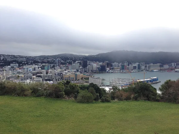 Vue Paysage Avec Ciel Bleu Sur Wellington — Photo