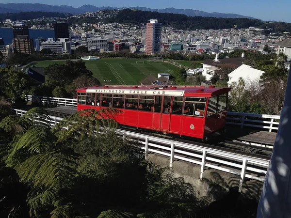 Tramway Wellington — Photo