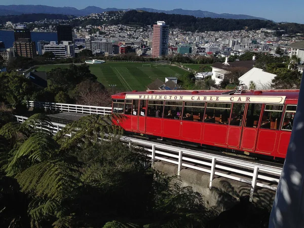 Tramway Wellington — Photo