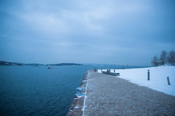 Oslo Noruega Costa Durante Invierno Con Gran Número Barcos Atracados — Foto de Stock