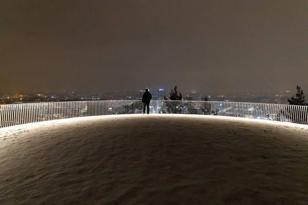 Výhledem Centrum Města Oslo Norsko Zimě Všechny Pokryté Čerstvým Sněhem — Stock fotografie
