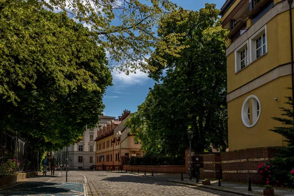 Árvore Lateral Wroclaw Com Caminho Árvores — Fotografia de Stock