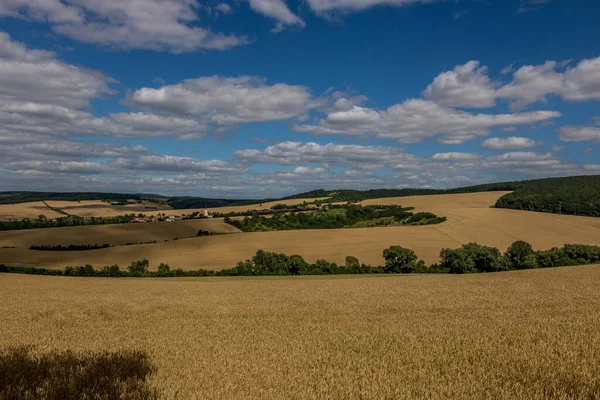 Field Wine Region Moravian Tuscany Fields Vicinity Svatoborice Mistrin Autumn — Stock Photo, Image