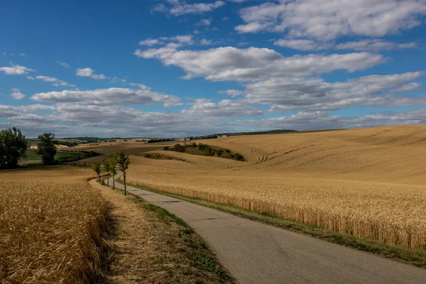 Field Wine Region Moravian Tuscany Fields Vicinity Svatoborice Mistrin Autumn — Stock Photo, Image