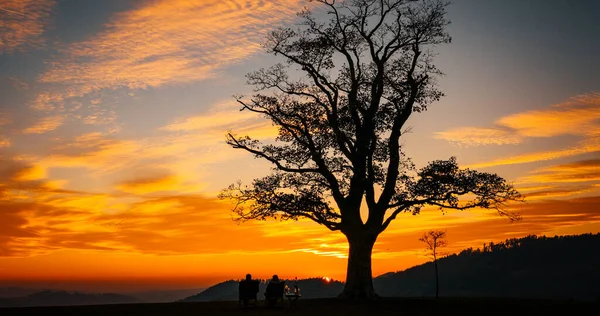 Loving couple watching sunset Great Lhota under an old lonely tree on a hill beautiful orange sunset sky full of clouds...