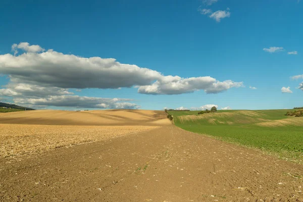 Fält Vinregionen Mähren Toscana Fält Närheten Svatoborice Och Mistrin Höstdagarna — Stockfoto