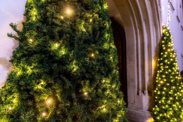 Twee Bomen Versierd Met Licht Bij Ingang Van Kerstmarkten Verlicht — Stockfoto