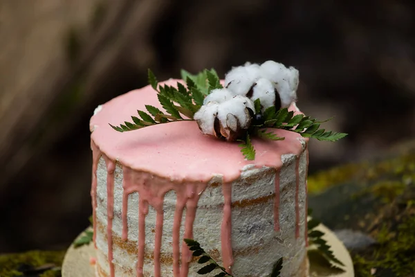 Wedding cake on two floors and light cream with fresh fruit and decorated before the ceremony laid in the middle of the forest on the trunk of a tree covered with a black moss