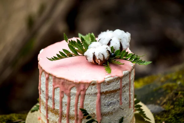 Wedding cake on two floors and light cream with fresh fruit and decorated before the ceremony laid in the middle of the forest on the trunk of a tree covered with a black moss