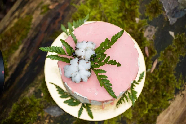 Wedding cake on two floors and light cream with fresh fruit and decorated before the ceremony laid in the middle of the forest on the trunk of a tree covered with a black moss