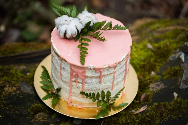 Wedding cake on two floors and light cream with fresh fruit and decorated before the ceremony laid in the middle of the forest on the trunk of a tree covered with a black moss