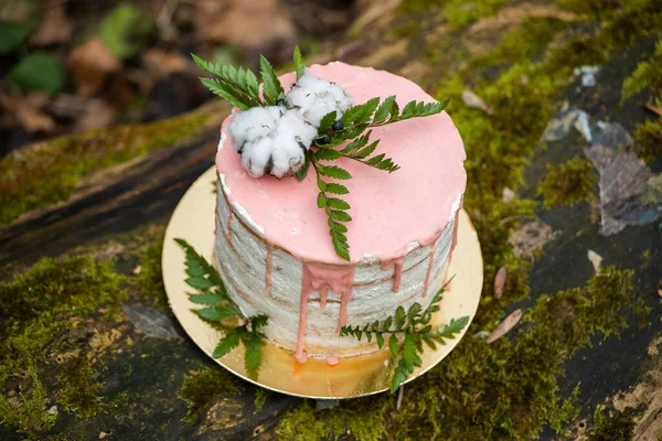 Wedding cake on two floors and light cream with fresh fruit and decorated before the ceremony laid in the middle of the forest on the trunk of a tree covered with a black moss