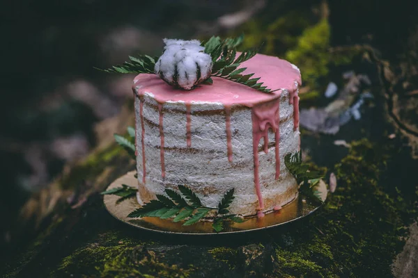 Wedding cake on two floors and light cream with fresh fruit and decorated before the ceremony laid in the middle of the forest on the trunk of a tree covered with a black moss