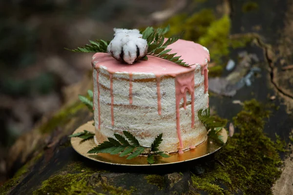 Wedding cake on two floors and light cream with fresh fruit and decorated before the ceremony laid in the middle of the forest on the trunk of a tree covered with a black moss