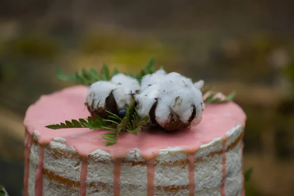 Wedding cake on two floors and light cream with fresh fruit and decorated before the ceremony laid in the middle of the forest on the trunk of a tree covered with a black moss