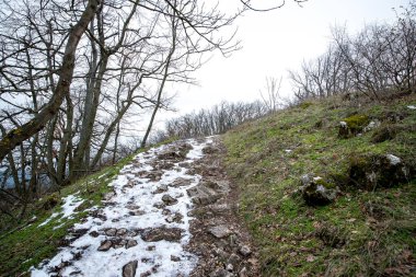 Orman kayalıkları güney Moravya 'daki dağa çıkıyor terk edilmiş şatoyu çevreleyen ağaçlarla dolu yol.