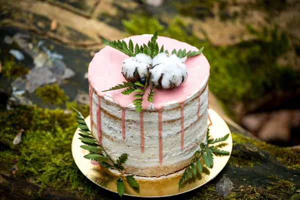 Wedding cake on two floors and light cream with fresh fruit and decorated before the ceremony laid in the middle of the forest on the trunk of a tree covered with a black moss