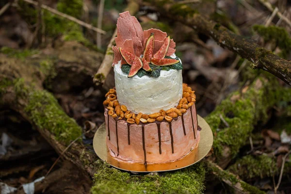 Wedding cake on two floors and light cream with fresh fruit and decorated before the ceremony laid in the middle of the forest on the trunk of a tree covered with a black moss