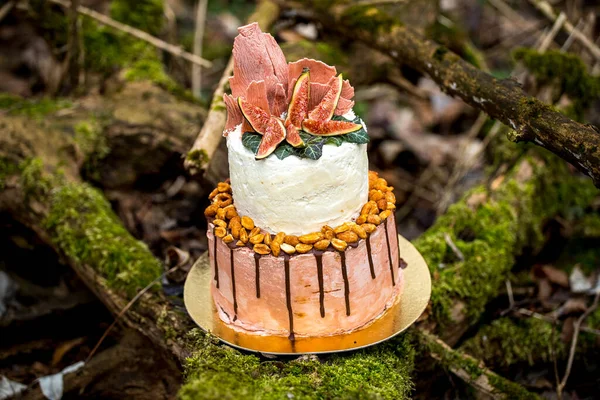 Wedding cake on two floors and light cream with fresh fruit and decorated before the ceremony laid in the middle of the forest on the trunk of a tree covered with a black moss