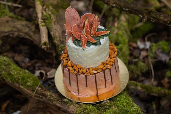 Wedding cake on two floors and light cream with fresh fruit and decorated before the ceremony laid in the middle of the forest on the trunk of a tree covered with a black moss