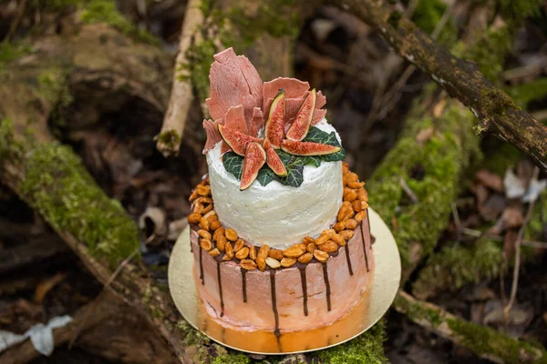 Wedding cake on two floors and light cream with fresh fruit and decorated before the ceremony laid in the middle of the forest on the trunk of a tree covered with a black moss