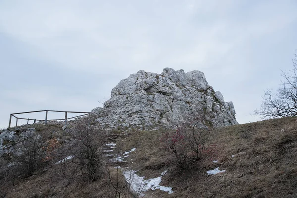 Лесная Скалистая Тропа Ведущая Горе Южной Моравии Окружающая Заброшенный Замок — стоковое фото