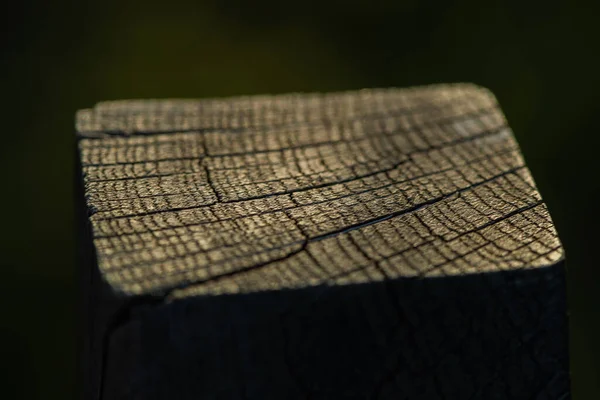 Макросъемка Деревянного Бревна Столб Закате Маленький Конус Света Сияющий Дереве — стоковое фото