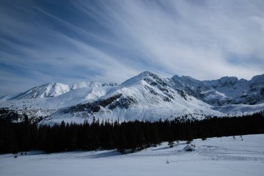 Polonya 'nın Zakopane bölgesindeki dağların tepesine bakın. Mavi gökyüzü ile kaplı, taze karla kaplı.