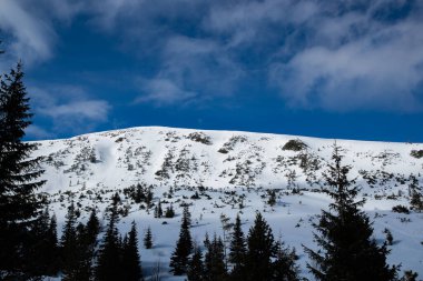 Polonya 'nın Zakopane bölgesindeki dağların tepesine bakın. Mavi gökyüzü ile kaplı, taze karla kaplı.