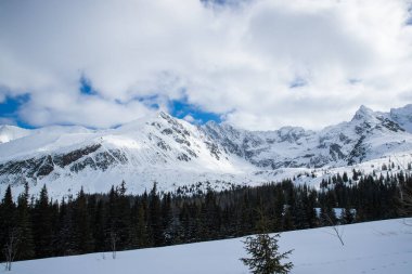 Polonya 'nın Zakopane bölgesindeki dağların tepesine bakın. Mavi gökyüzü ile kaplı, taze karla kaplı.