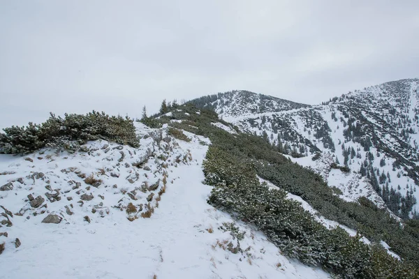 Vedere Vârful Munților Din Zona Zakopane Din Polonia Acoperită Zăpadă — Fotografie, imagine de stoc