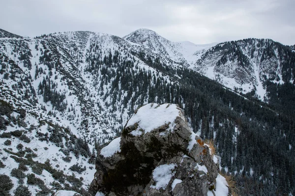 Widok Góry Zakopanem Polsce Pokryty Świeżym Śniegiem Dzień Błękitnym Niebem — Zdjęcie stockowe