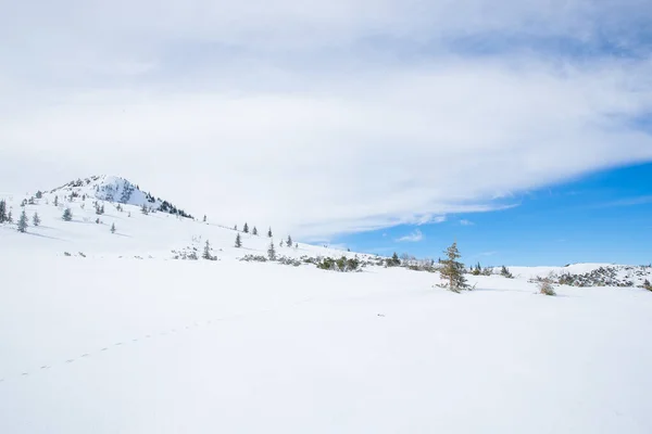 Θέα Στην Κορυφή Των Βουνών Στην Περιοχή Zakopane Στην Πολωνία — Φωτογραφία Αρχείου