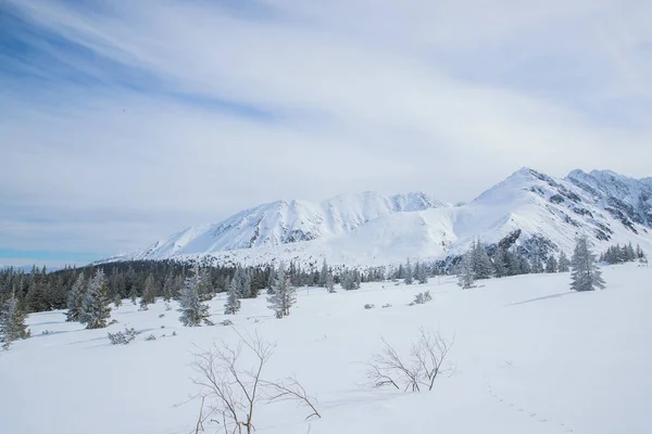 Polonya Nın Zakopane Bölgesindeki Dağların Tepesine Bakın Mavi Gökyüzü Ile — Stok fotoğraf