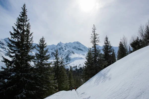 Uitzicht Top Van Bergen Het Zakopane Gebied Polen Bedekt Met — Stockfoto