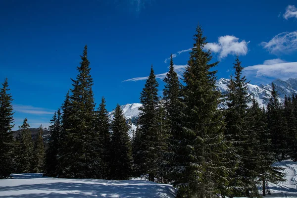 Vista Cima Las Montañas Zona Zakopane Polonia Cubierta Nieve Fresca —  Fotos de Stock