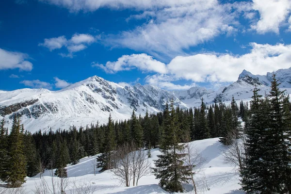 Θέα Στην Κορυφή Των Βουνών Στην Περιοχή Zakopane Στην Πολωνία — Φωτογραφία Αρχείου