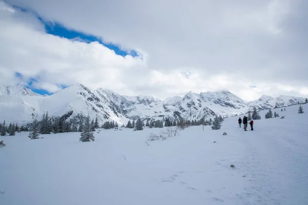 Polonya Nın Zakopane Bölgesindeki Dağların Tepesine Bakın Mavi Gökyüzü Ile — Stok fotoğraf