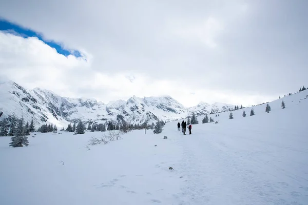 Polonya Nın Zakopane Bölgesindeki Dağların Tepesine Bakın Mavi Gökyüzü Ile — Stok fotoğraf