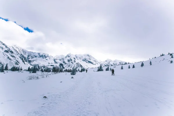 Polonya Nın Zakopane Bölgesindeki Dağların Tepesine Bakın Mavi Gökyüzü Ile — Stok fotoğraf