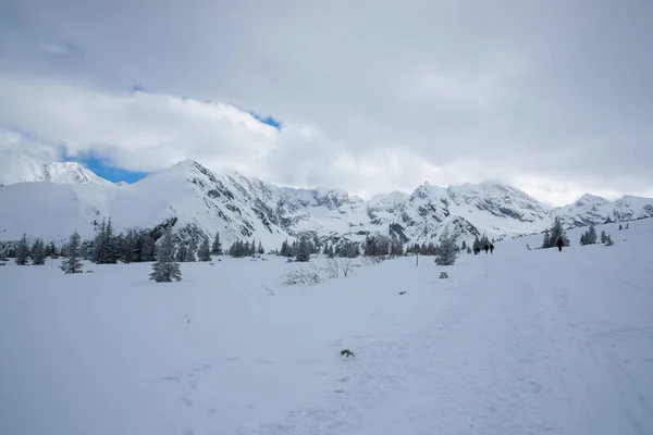 Polonya Nın Zakopane Bölgesindeki Dağların Tepesine Bakın Mavi Gökyüzü Ile — Stok fotoğraf