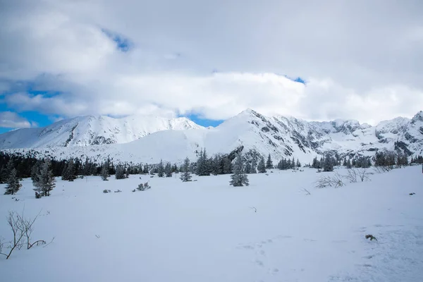 Θέα Στην Κορυφή Των Βουνών Στην Περιοχή Zakopane Στην Πολωνία — Φωτογραφία Αρχείου