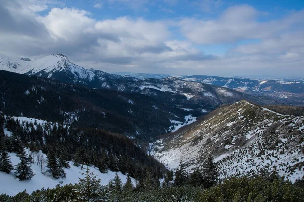 Uitzicht Top Van Bergen Het Zakopane Gebied Polen Bedekt Met — Stockfoto